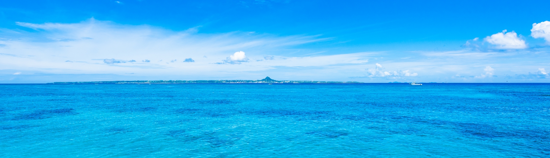 海